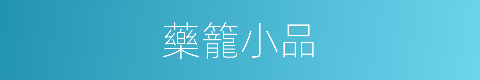 藥籠小品的同義詞