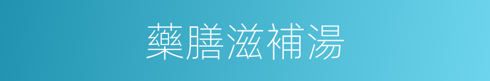 藥膳滋補湯的同義詞