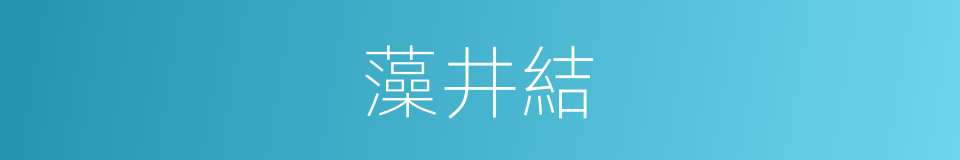 藻井結的同義詞