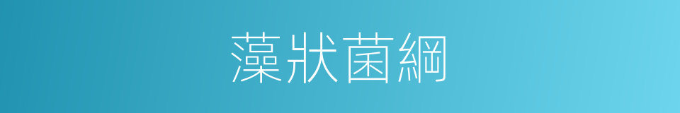 藻狀菌綱的同義詞