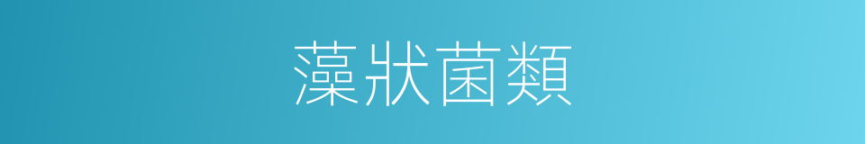 藻狀菌類的同義詞