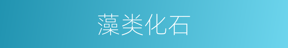藻类化石的同义词