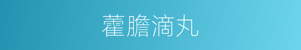 藿膽滴丸的同義詞