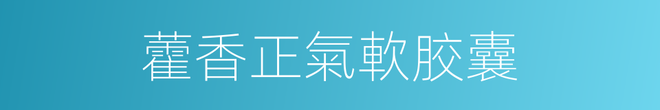 藿香正氣軟胶囊的同義詞