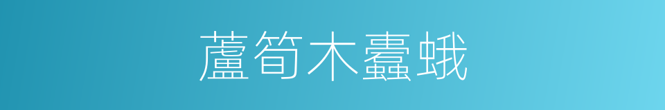 蘆筍木蠹蛾的同義詞
