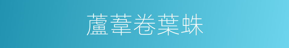 蘆葦卷葉蛛的同義詞