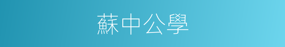 蘇中公學的同義詞