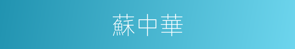 蘇中華的同義詞