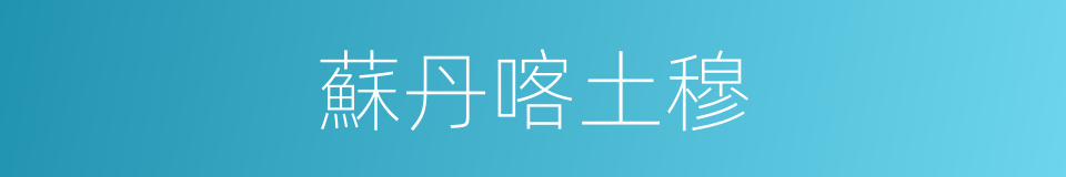 蘇丹喀土穆的同義詞