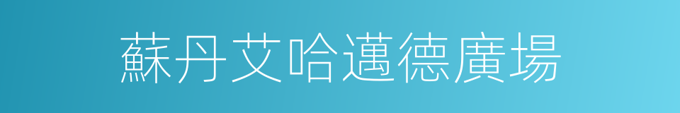 蘇丹艾哈邁德廣場的同義詞