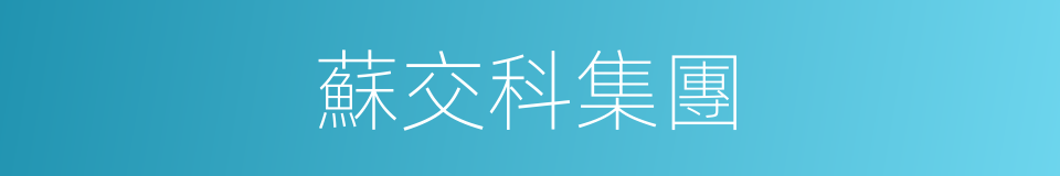 蘇交科集團的同義詞