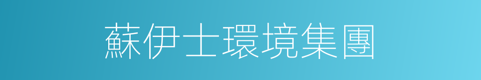 蘇伊士環境集團的同義詞