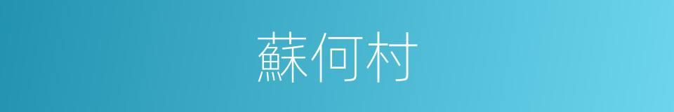 蘇何村的同義詞