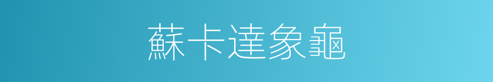 蘇卡達象龜的同義詞