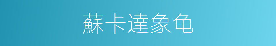 蘇卡達象龟的同義詞
