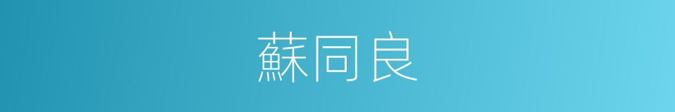 蘇同良的同義詞