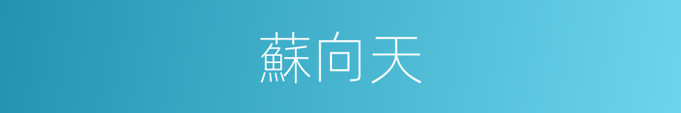 蘇向天的同義詞