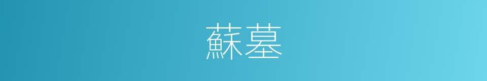 蘇墓的同義詞