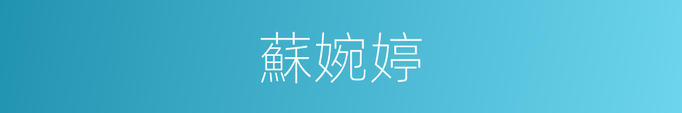 蘇婉婷的同義詞