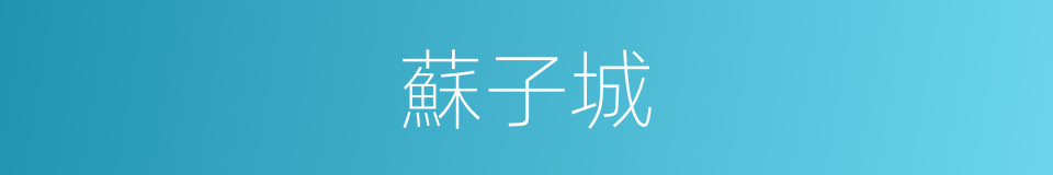 蘇子城的同義詞
