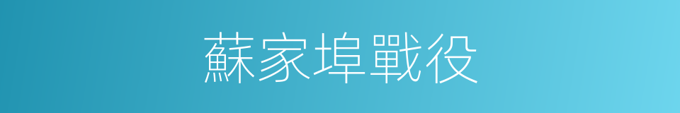 蘇家埠戰役的同義詞