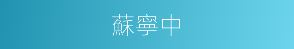 蘇寧中的同義詞