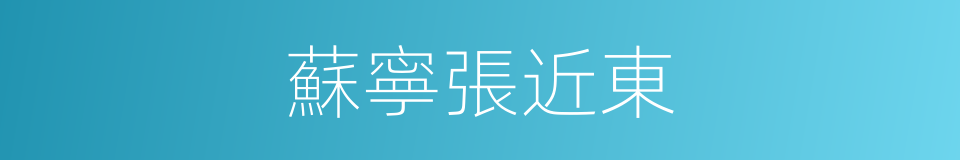 蘇寧張近東的同義詞