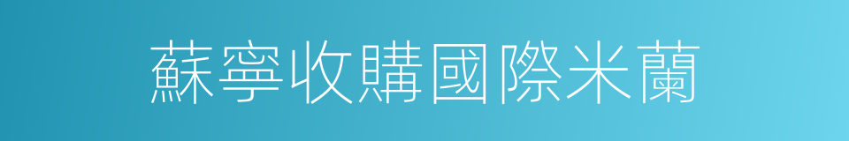 蘇寧收購國際米蘭的同義詞