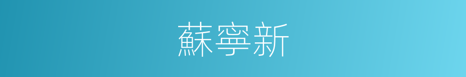 蘇寧新的同義詞