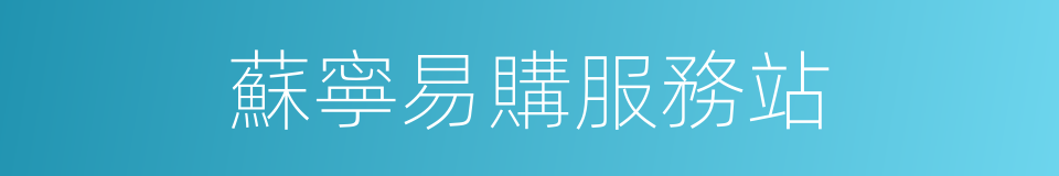 蘇寧易購服務站的同義詞
