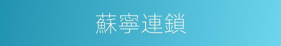 蘇寧連鎖的同義詞