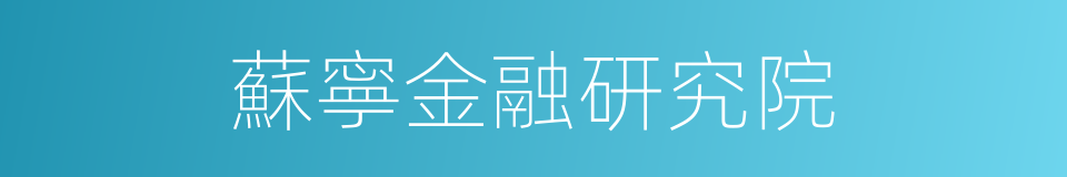 蘇寧金融研究院的同義詞
