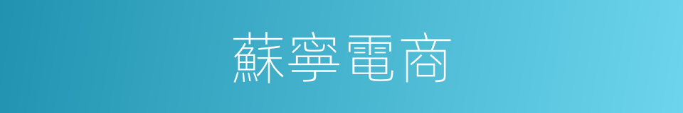 蘇寧電商的同義詞