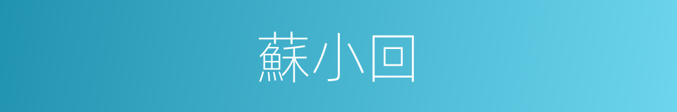 蘇小回的同義詞