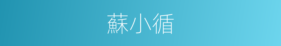蘇小循的同義詞