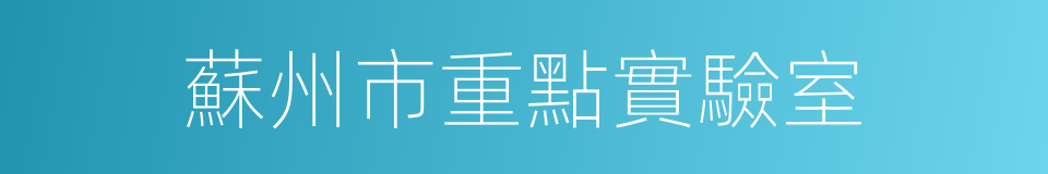 蘇州市重點實驗室的同義詞