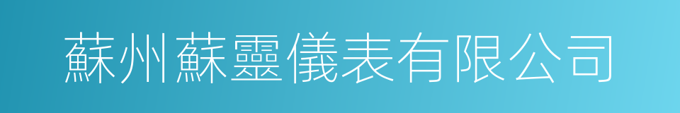 蘇州蘇靈儀表有限公司的同義詞