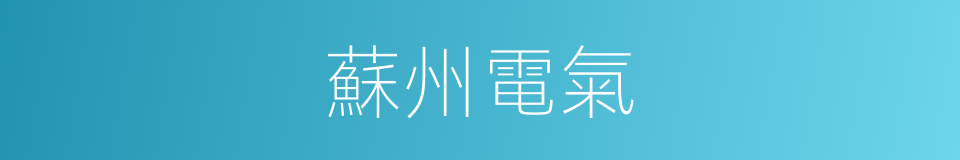 蘇州電氣的同義詞