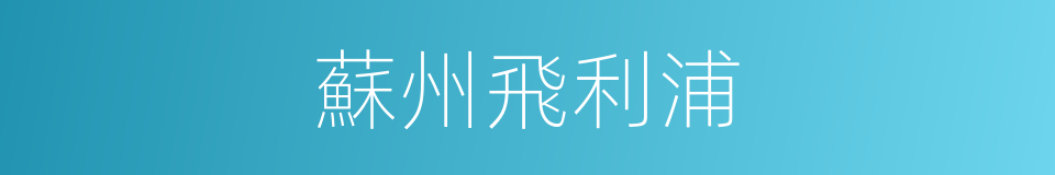蘇州飛利浦的同義詞