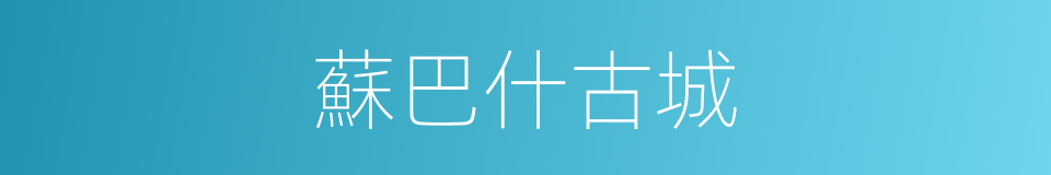 蘇巴什古城的同義詞