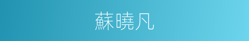 蘇曉凡的同義詞