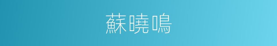 蘇曉鳴的同義詞