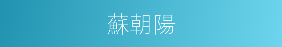 蘇朝陽的意思