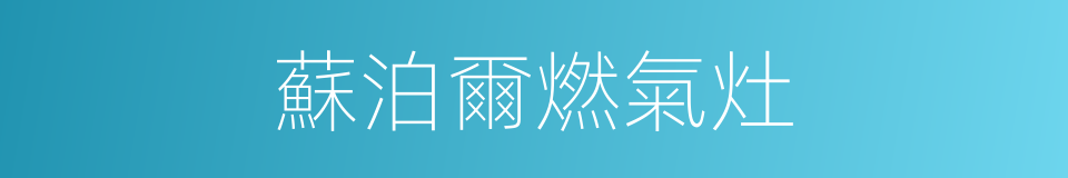 蘇泊爾燃氣灶的同義詞