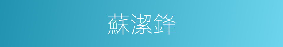 蘇潔鋒的同義詞