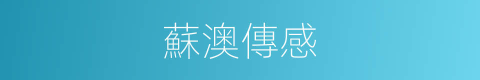 蘇澳傳感的同義詞