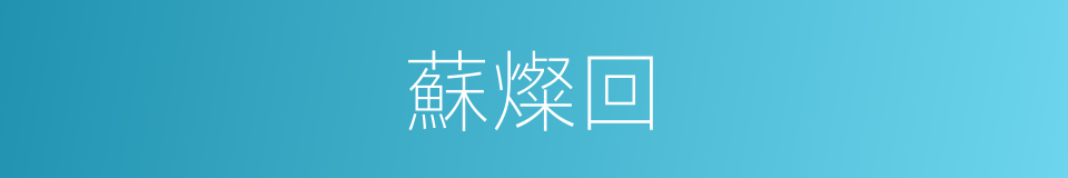 蘇燦回的同義詞