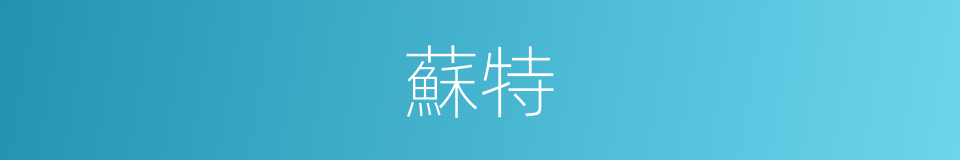 蘇特的同義詞