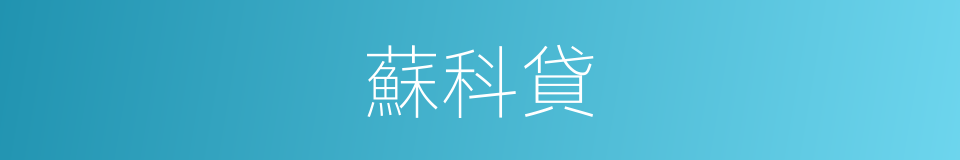 蘇科貸的同義詞