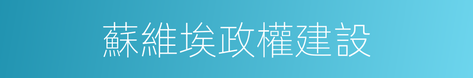 蘇維埃政權建設的同義詞